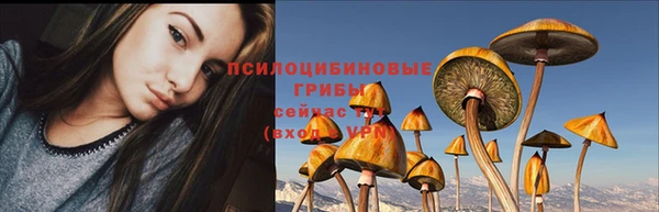кокс Абаза