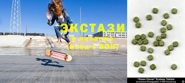 индика Карпинск