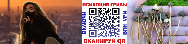 Псилоцибиновые грибы прущие грибы  Ува 