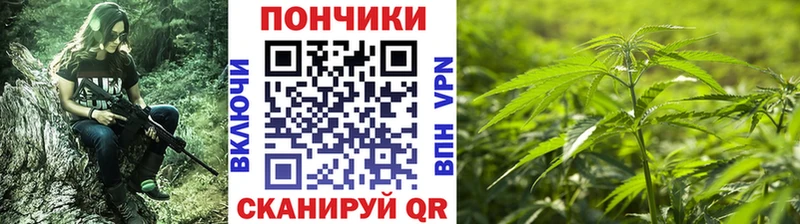 Шишки марихуана планчик  Ува 